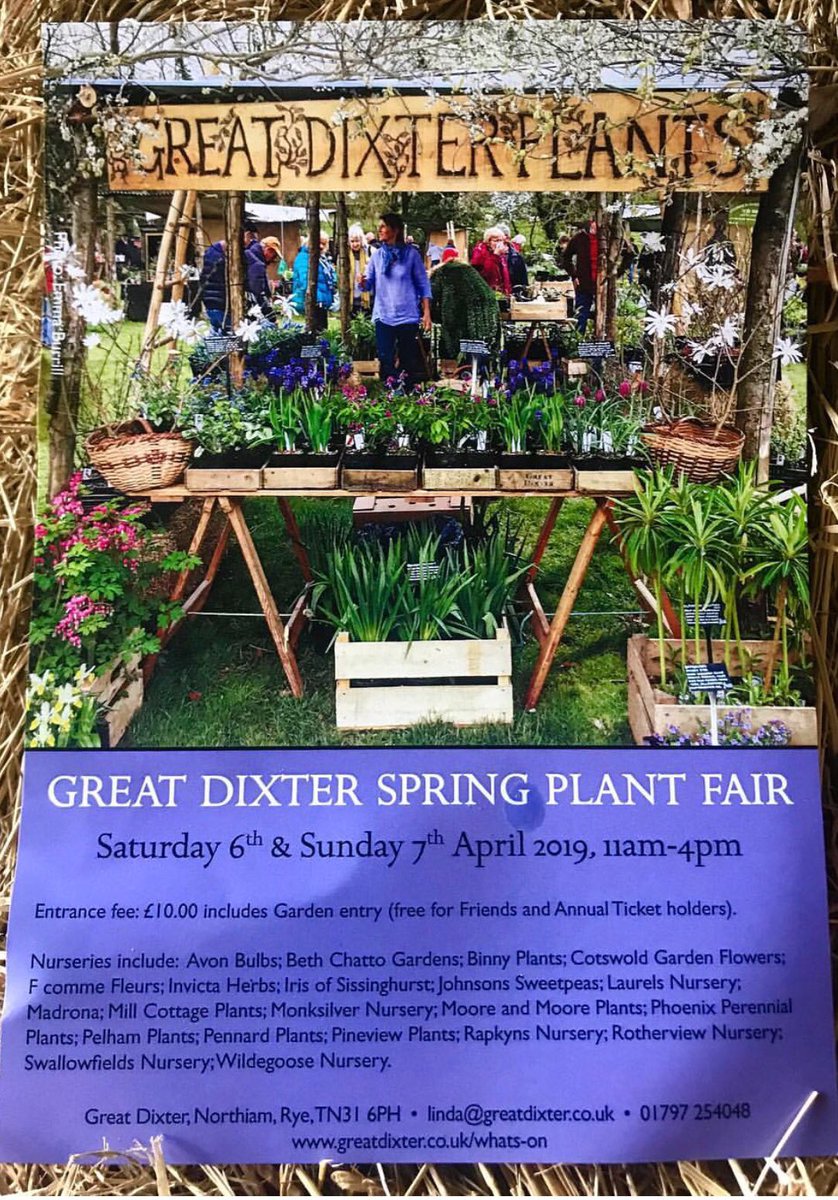 Adele Carla Ford tweet media