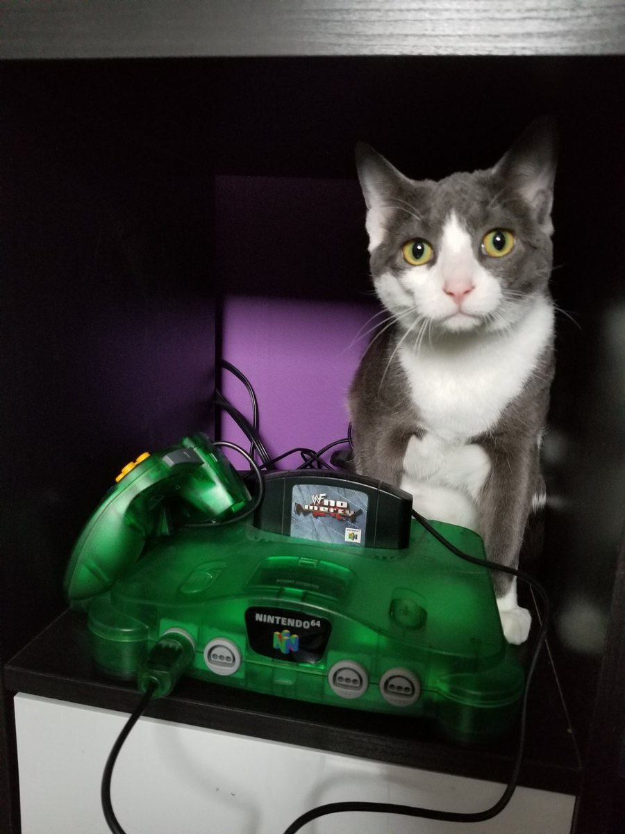 MrMetzger29's tweet photo. #N64 https://t.co/r67fFaPby1