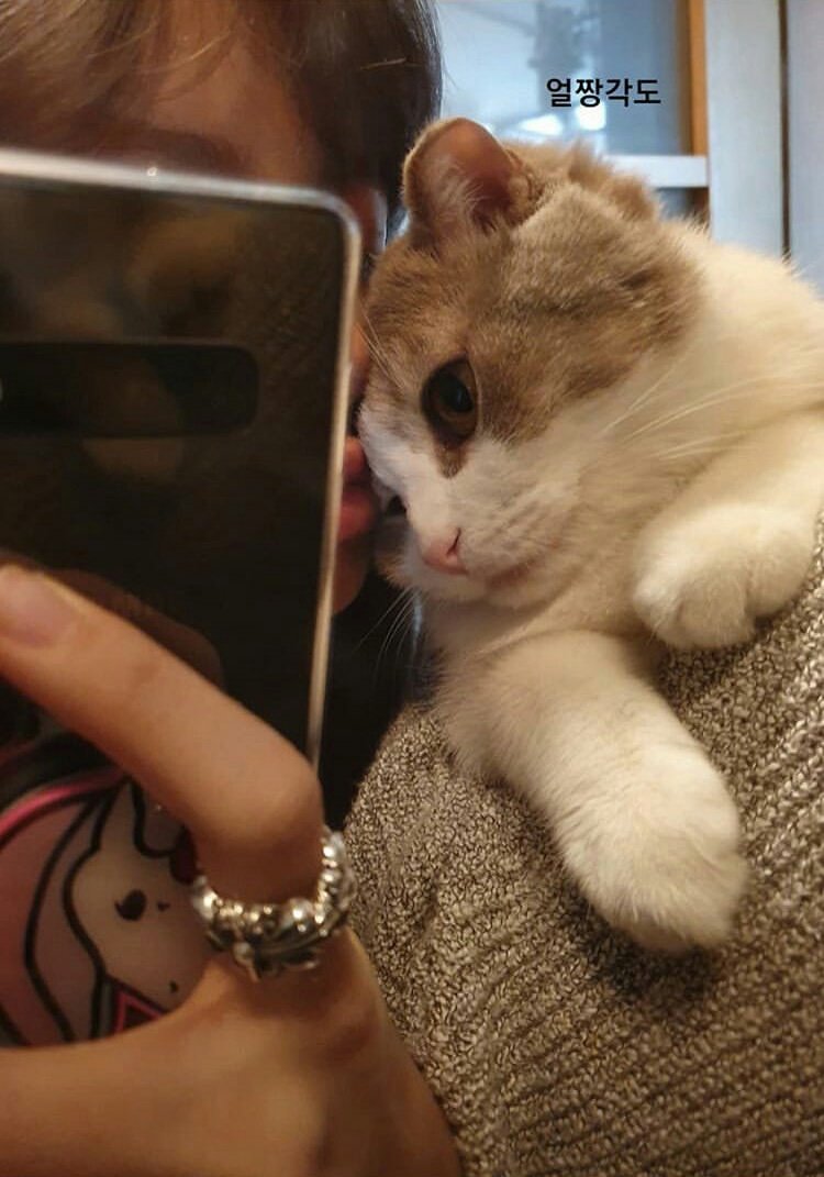 robrtcode's tweet photo. 얼짱각도 https://t.co/ZHgZqYy520