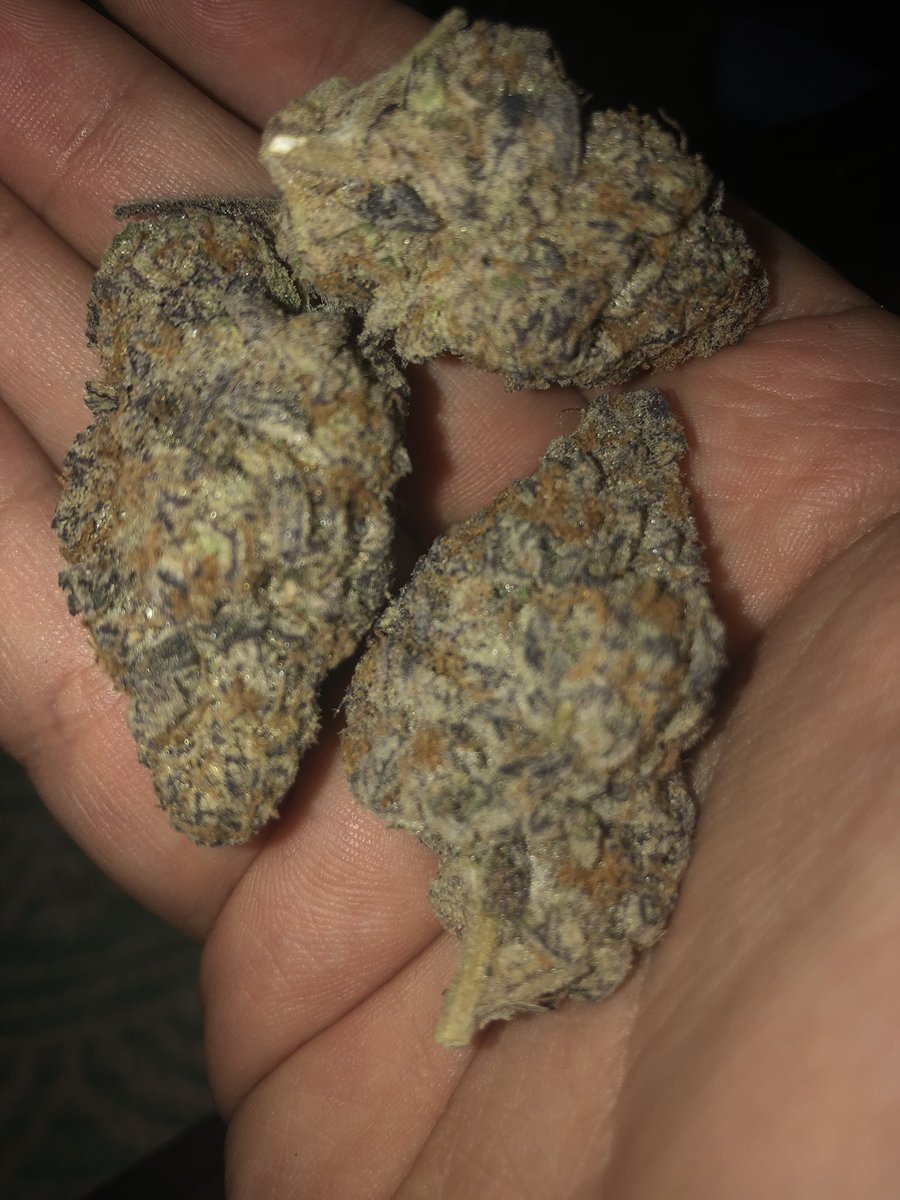 cloud1621's tweet photo. @AJthegiantsDAD @KermitD14 Slurricane!!! #CookiesorBetter #LoudPacksOnly #Fuego #StonerFam #StonedJesus https://t.co/joBqvnTuwY