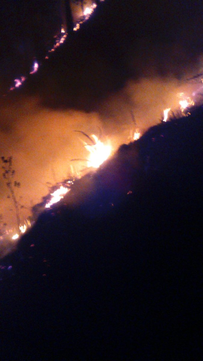 BomberosHn's tweet image. Valle de Angeles desde horas de la tarde se combate incendio forestal de grandes proporciones Estaciónes de Tegucigalpa despliegan equipo a la zona