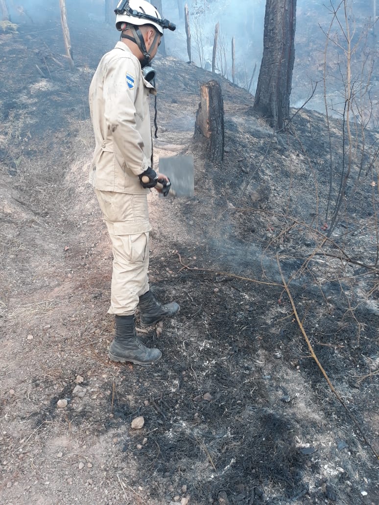 BomberosHn's tweet image. Valle de Angeles desde horas de la tarde se combate incendio forestal de grandes proporciones Estaciónes de Tegucigalpa despliegan equipo a la zona