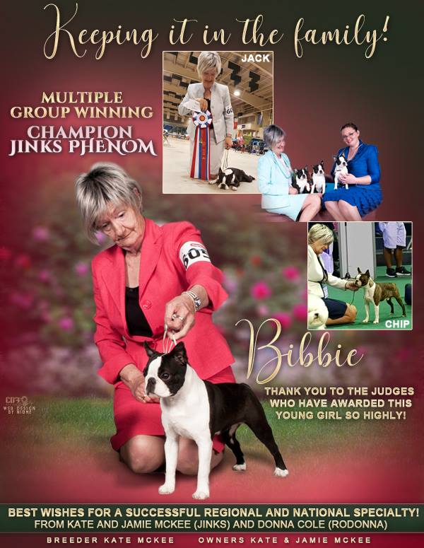 billib's tweet photo. During and after 3 cancer surgeries we have kept going and have a home bred girl who's accomplishments we are very proud of https://t.co/mCKWZRiDz1