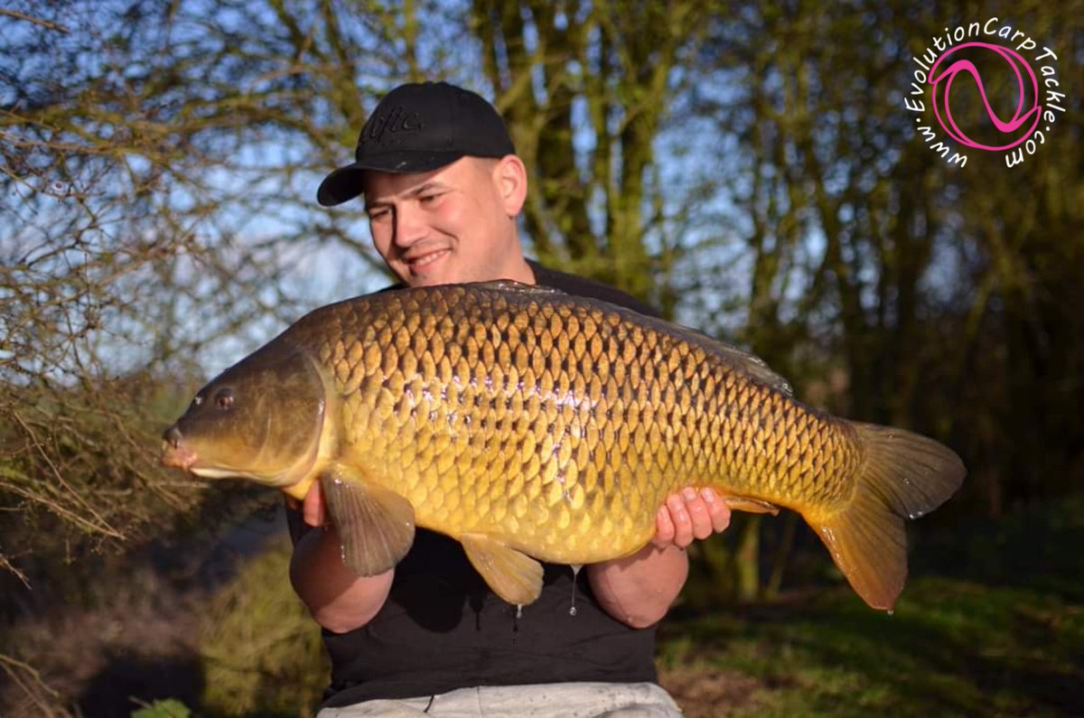EvoCarpTackle's tweet photo. Team member Matt Eade ended up with a brace of stunning commons, one of 27lb 2oz and the other at 25lb. Both landed, weighed and released in the NSR. 

https://t.co/pJQKNvDNOj #EvolutionCarpTackle #Evolve® #ArtificialBaits #NSR® #TotalFishCare #LastElementsRange #TeamEvo https://t.co/nXN6oIKp39