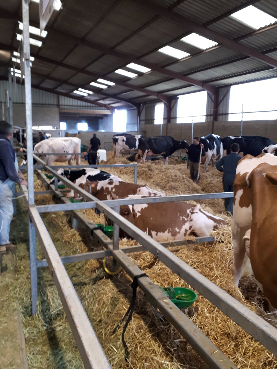 Bernadette Dion tweet media