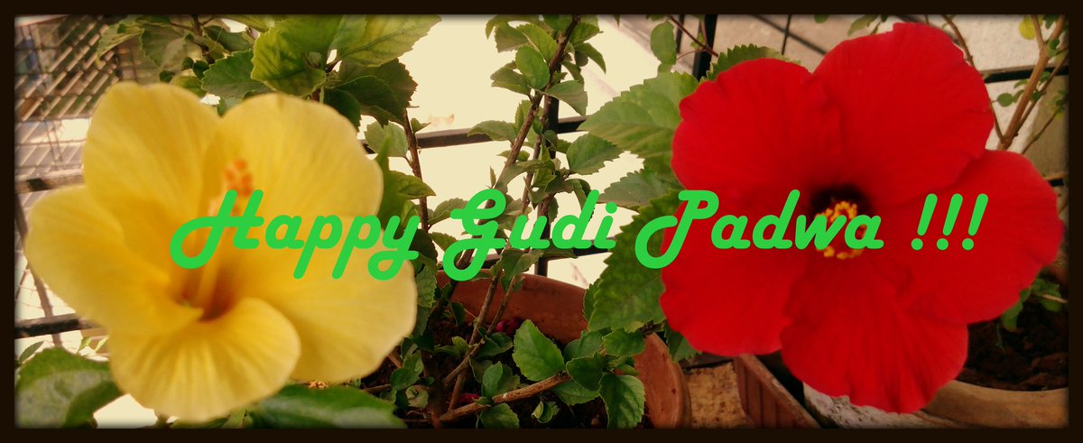 Sayantan_sen's tweet photo. Happy Gudi Padwa :) https://t.co/h4URYFRV9H
