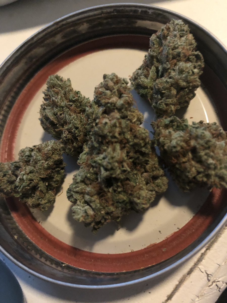 cloud1621's tweet photo. @Pokemama91 bout to light up some Venom OG #VenomOG #CookiesOrBetter #LoudPacksOnly https://t.co/mMJH82adfB