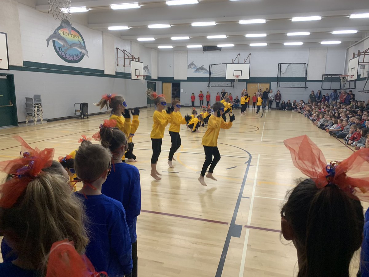 Deep Cove Elementary tweet media