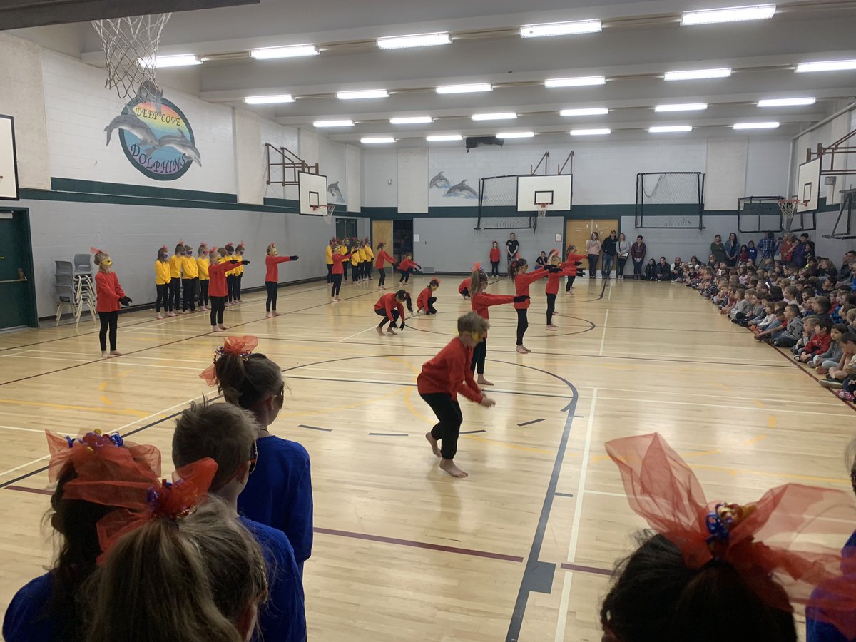 Deep Cove Elementary tweet media