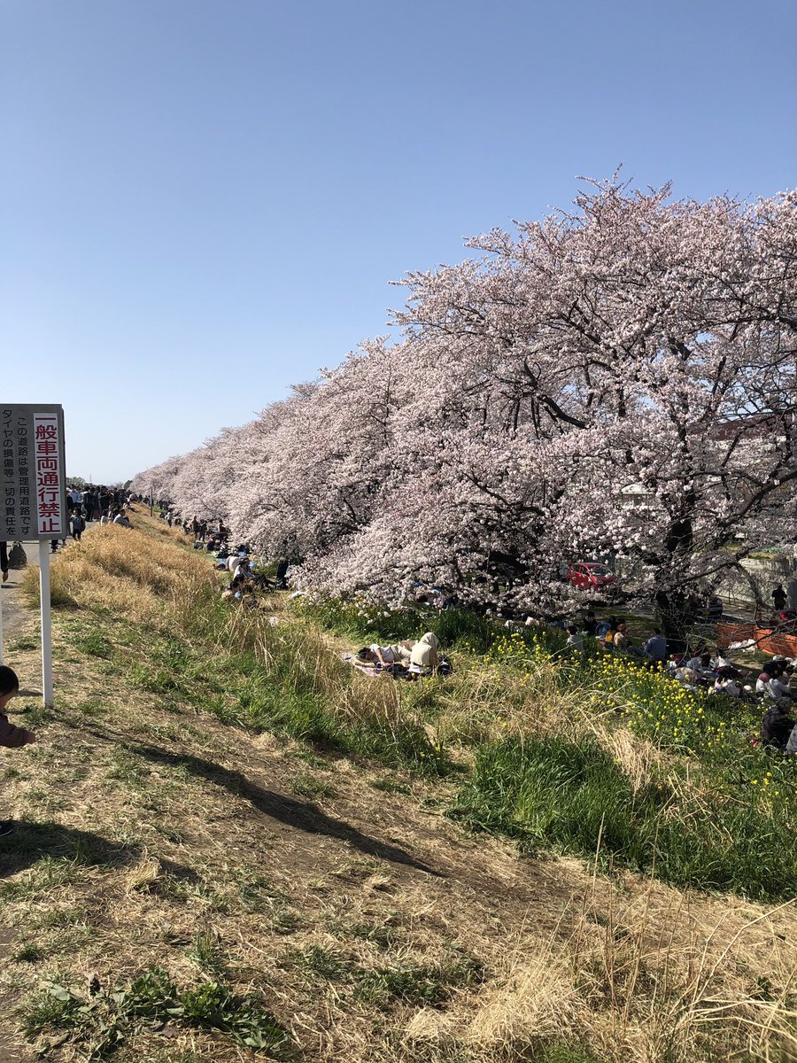 KARUPASU13's tweet photo. 今埼玉県熊谷市桜木町に来ています！
とても綺麗なところです😍
##桜スポット https://t.co/uLSbCGhcK5
