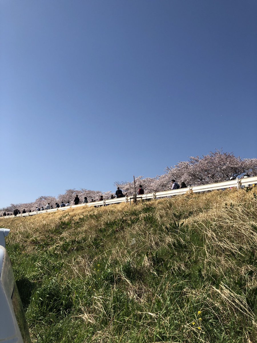 KARUPASU13's tweet photo. 今埼玉県熊谷市桜木町に来ています！
とても綺麗なところです😍
##桜スポット https://t.co/uLSbCGhcK5