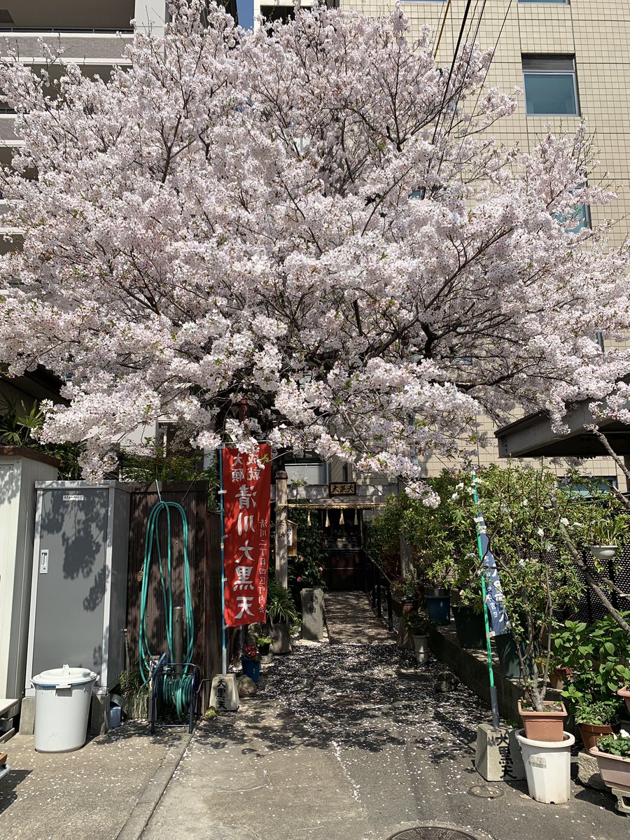 ひとりさんぽ、みちにまよう 