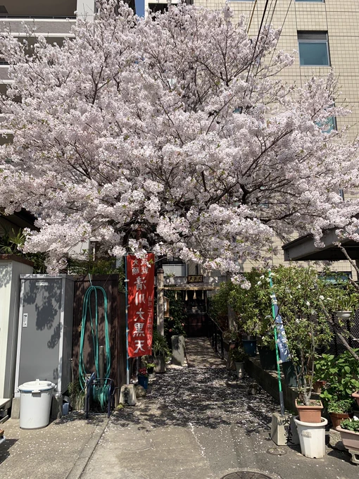 ひとりさんぽ、みちにまよう 