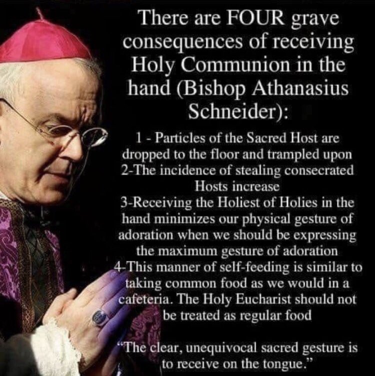 timotheeology's tweet image. 