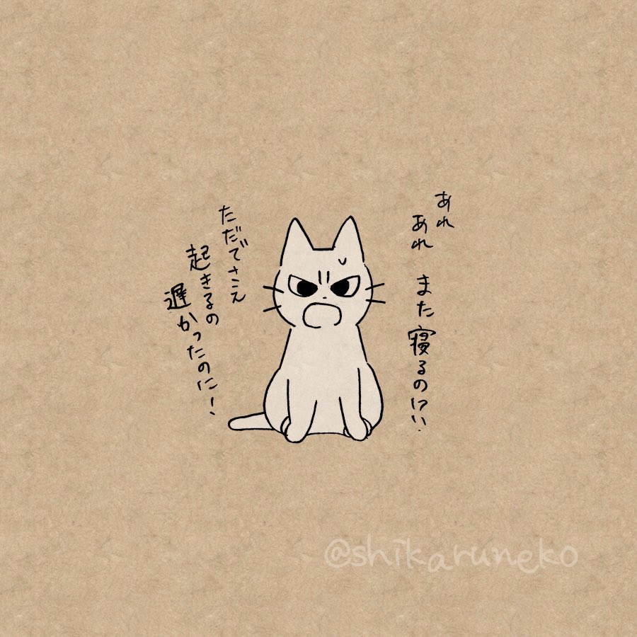 暖かいからと寝てばかりいる人を叱ってくれる猫 