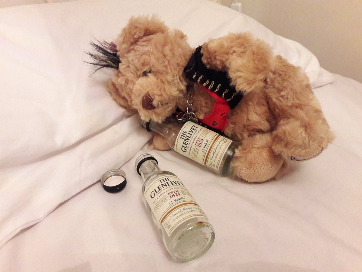 IdiotBears's tweet photo. Inevitable... Still, at least he didn't find the icing sugar 😅🥃 #idiotnation https://t.co/cJv01ypMzY