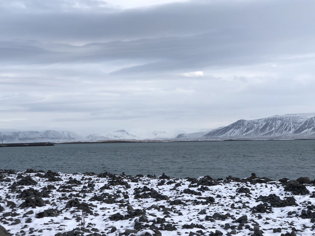 WePublicHealth's tweet photo. Thanks for having me at @WePublicHealth this week. Was a surreal and inspirational privilege to be part of #whatworks2019 in beautiful #Reykjavik amongst colleagues passionate and determined about achieving the #SDG. https://t.co/qGdDzQLZlK