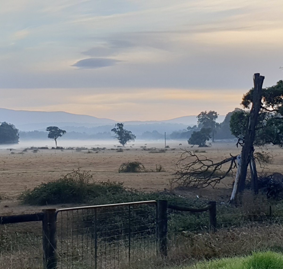 When you are driving to work on a crisp Melbourne morning....I just felt compelled to pull over and capture the moody misty scenery.

#melbournemornings #sceneryphotos #mistymornings #beautifulmelbourne #beautifulpakenham #paradisepaky