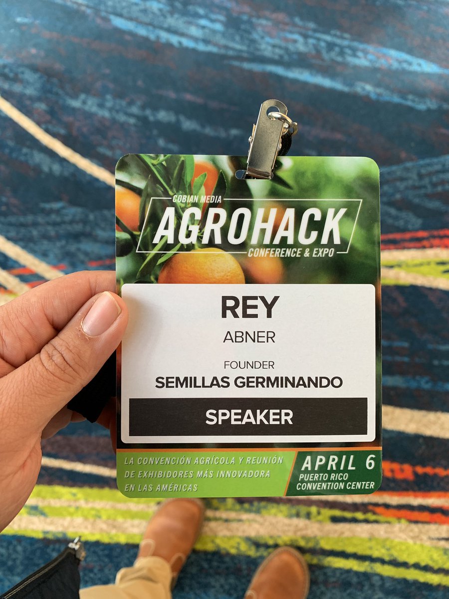 Don Maktub 🪵 tweet media