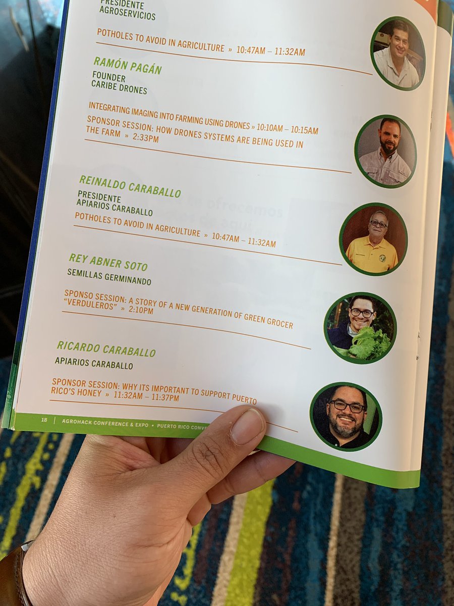 Don Maktub 🪵 tweet media