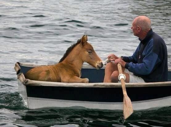 Ladywell Tavern is showing sports (!) this weekend... 
SAT// 5:15 Grand National
SUN// 2:15 Oxford v Cambridge Boat Race