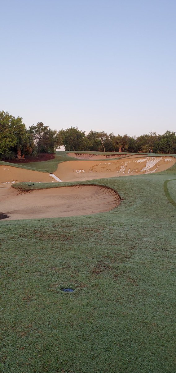 Can't think a better way to spend Saturday 🙄🙄