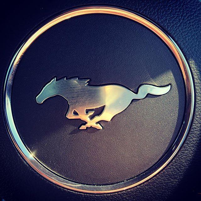 AdamTowler's tweet photo. There’s a new car on the #evofastfleet....and I absolutely love it already! 🙌
-
#evomagazine #ford #fordmustang #mustang #mustangGT #ponycar #musclecar #v8 #cars #carsofinstagram #fivelitre https://t.co/Lg9zGGODOh https://t.co/pbOLJSYmRf