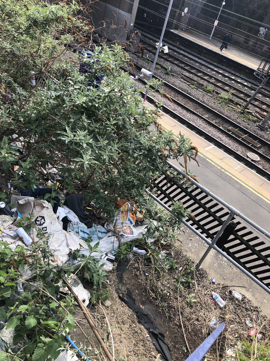 Nazma Rahman tweet media