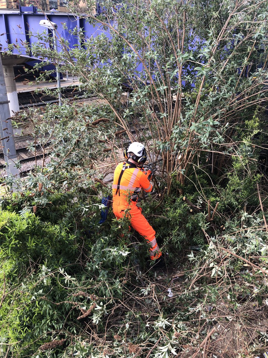 Nazma Rahman tweet media