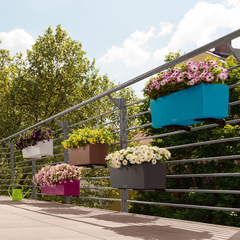 Dedi4me's tweet photo. Lasciati ispirare!! E' arrivata la primavera.
Rendi unico il tuo balcone e terrazzo con piante, fiori e le 
Fioriere Lechuza Balconera Color e Balconera Cottage.
Design e qualità. Fatti notare!
https://t.co/baiXDn0C1v
#fioriere #lechuza #balconera #design #arredo #piante https://t.co/2tiAGgB3Ue