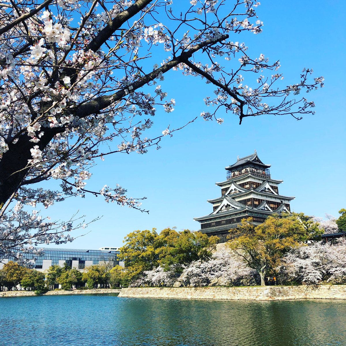 Japan 🌸 #japan #travel