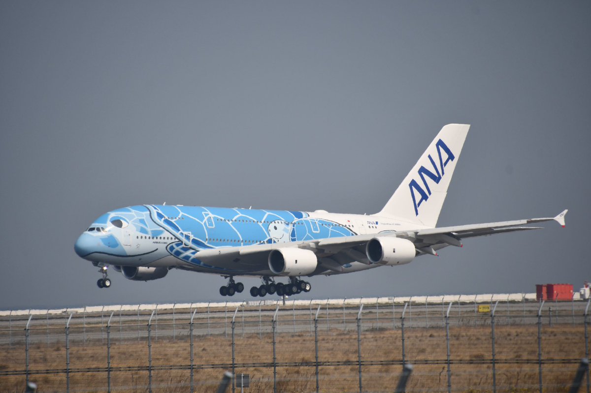 関空展望ホールsky View 公式 本日は 先月日本にやってきたばかりの フライングホヌ が 関西国際空港 に飛来しました ハワイの空 がイメージされた Anaブルー の塗装が特徴的です A380 で迫力あり とっても可愛いお顔ですね 土曜日