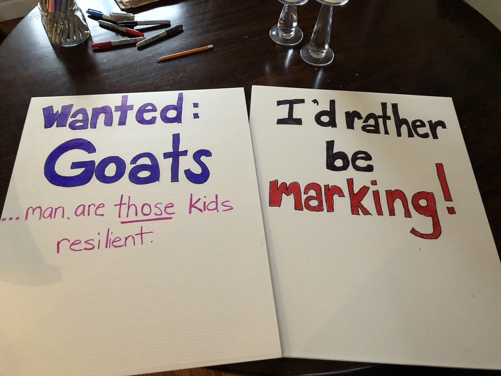 Robin Malandrino tweet media