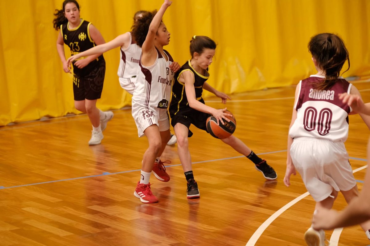 ASRBasketAlmeda's tweet photo. 🏀#PMFALM 33- @FemSantAdria 80 #AdnAlmeda #JornadaAlmeda #souelfutur https://t.co/TvD6kKuqdn