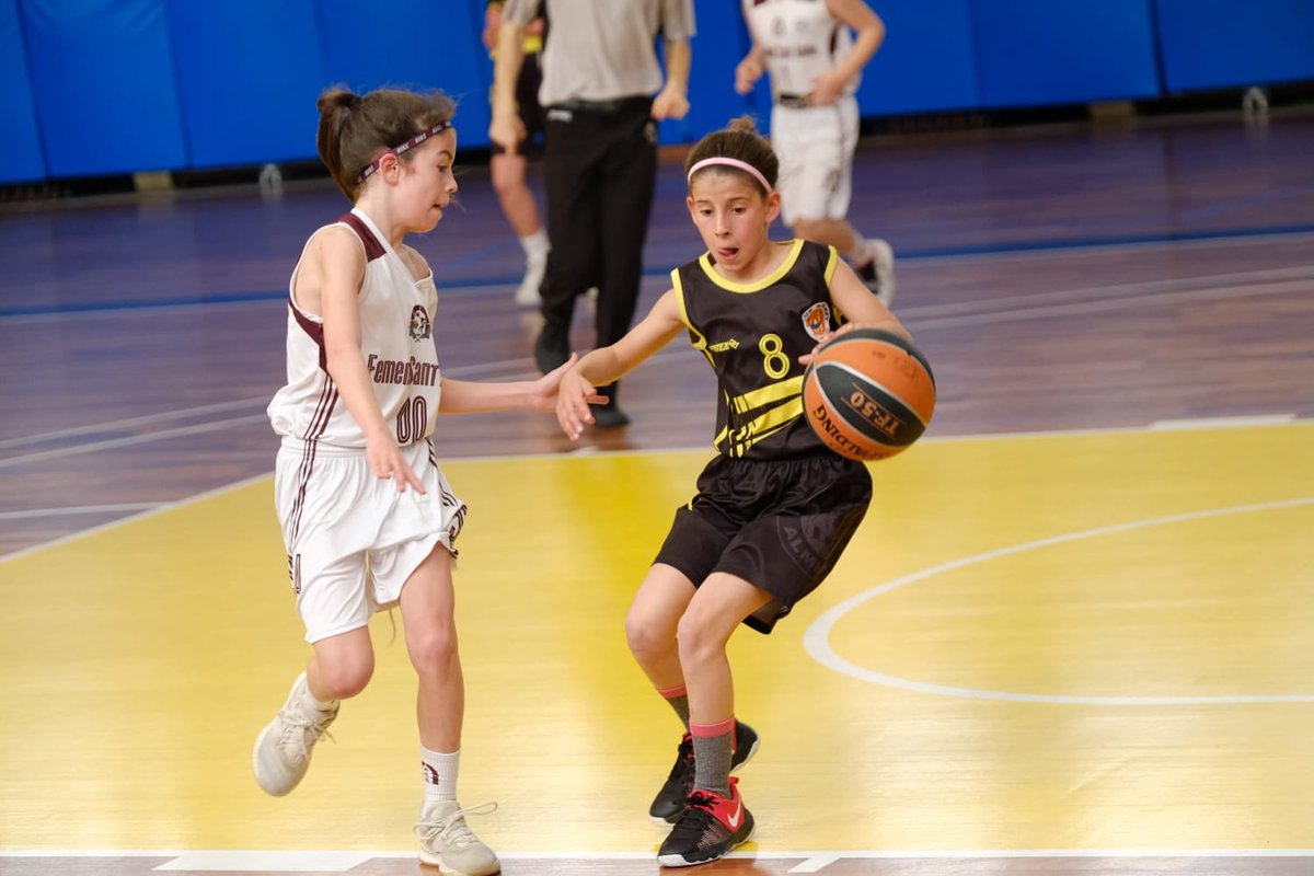 ASRBasketAlmeda's tweet photo. 🏀#PMFALM 33- @FemSantAdria 80 #AdnAlmeda #JornadaAlmeda #souelfutur https://t.co/TvD6kKuqdn