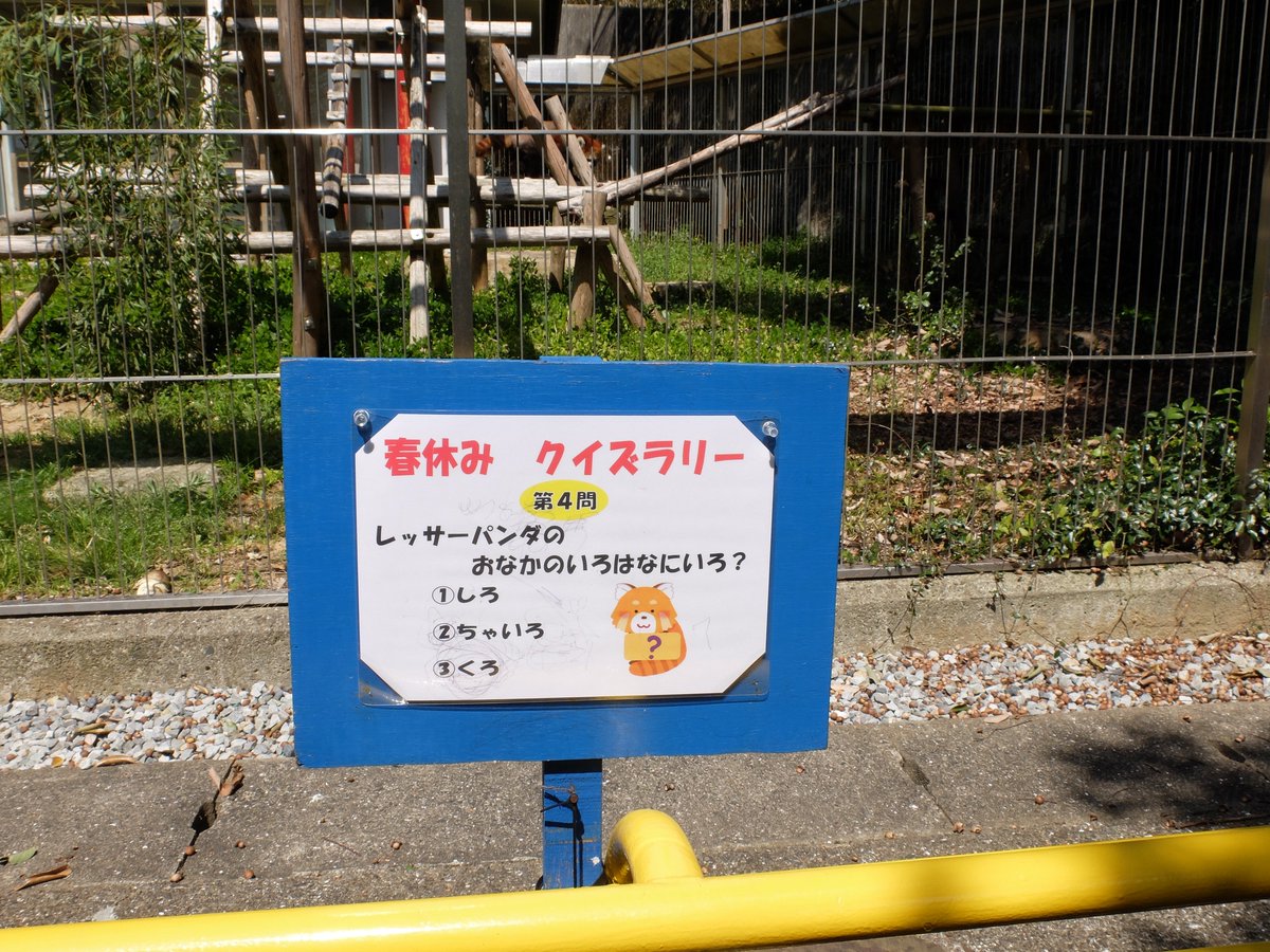 ট ইট র はちべえ 陸君 春休みのクイズラリー で動物前に問題があり レッサーパンダは おなかのいろはなにいろ 平仮名で掲示されていて 子ども達は楽しみながら観察力が付くしガイド要らずだし他園でも取り入れてもらいたいいいアイデアだと思います ট ইট র はちべえ 陸君 春休みのクイズラリー で動物前に問題があり レッサーパンダは おなかのいろはなにいろ 平仮名で掲示されていて 子ども達は楽しみながら観察力が付くしガイド要らずだし他園でも取り入れてもらいたいいいアイデアだと思います