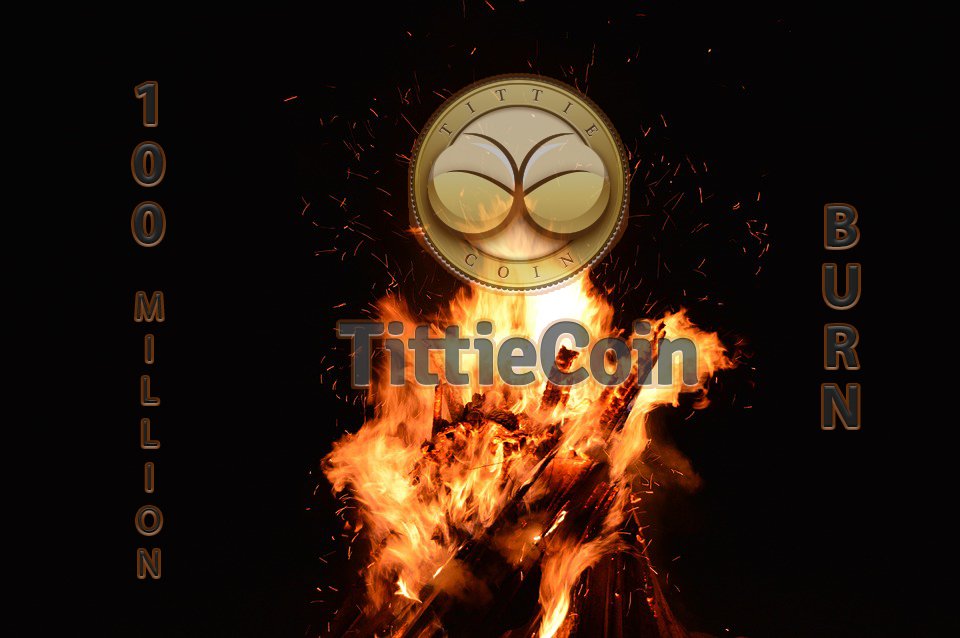 Tittiecoin_'s tweet photo. We are getting ready to BURN the first 100 Million @TittieCoin $TIT to reduce the total circulating supply. Say hello to the coolest Burn address in the world. We will shortly be sending the first  #100MillionBurn  TThanksForThatButGoodByeXXXXYaoR59 https://t.co/JimOCgQA8o