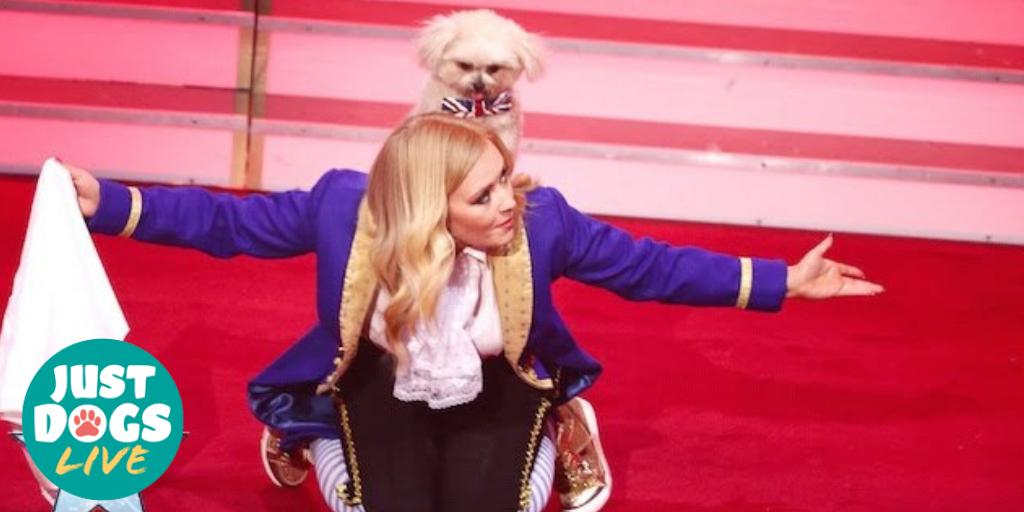 The amazing Trip Hazzard will be appearing at #JDL2019, dog trainer Lucy Heath and her tiny companion Trip Hazard, the 5 year old crossbreed, were finalists on Britain's Got Talent 2016. <a href="/lucyandtrip/">The Trickstars</a> #BGT2016 #dogshow #dogslife ow.ly/apjR50pc2A0