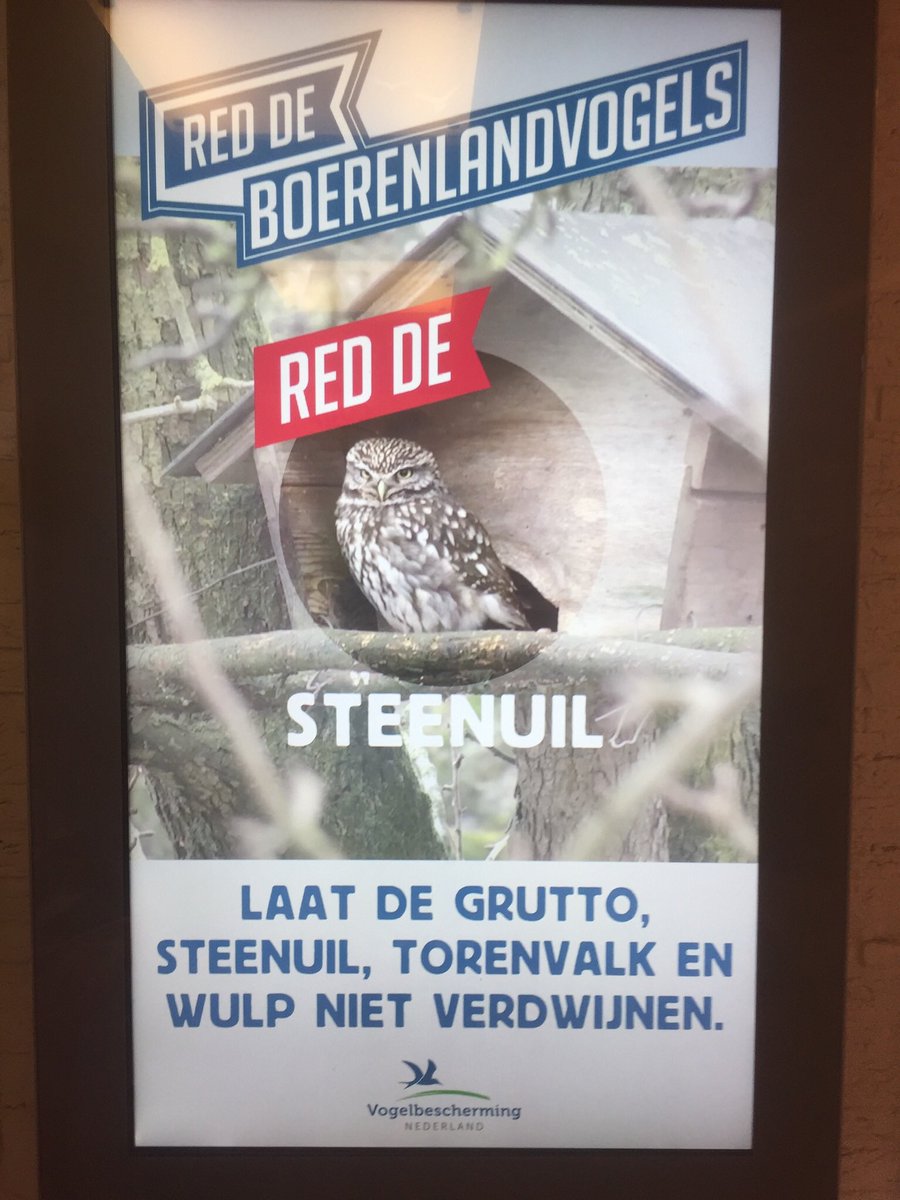 De komende drie maanden kunt u bij de Coop Slager Diever en bij de Coop in Ruinen uw statiegeld doneren aan de stichting steenuilenwerkgroep Drenthe. Het gedoneerde bedrag wordt verdubbeld door de Coop organisatie. Doneren kan met de gele knop op de flessenautomaat.