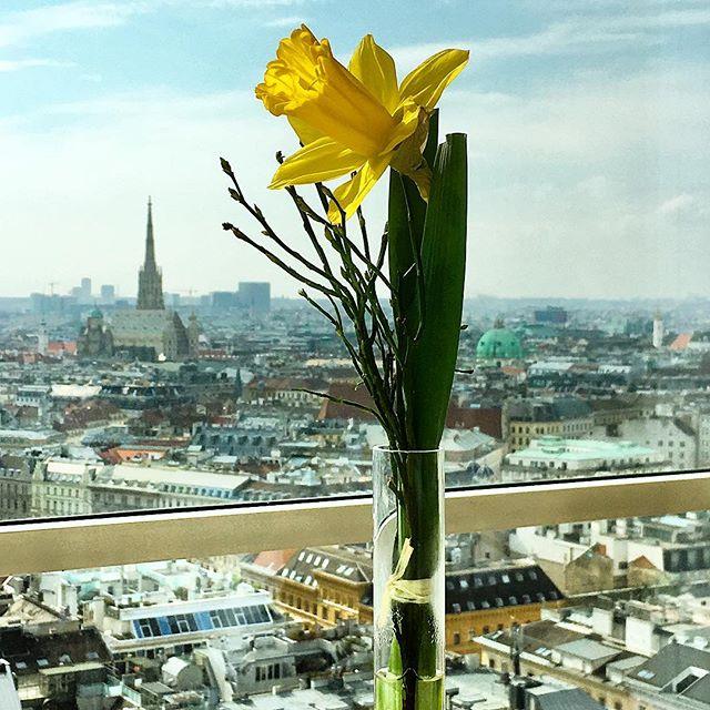 Creativelena's tweet photo. “Wien, Wien, nur Du allein ...!” ����🌷💕 #topofvienna #blicküberwien #blicküberdiestadt #invienna #cityscape #springinvienna https://t.co/fSnqU1JEf9