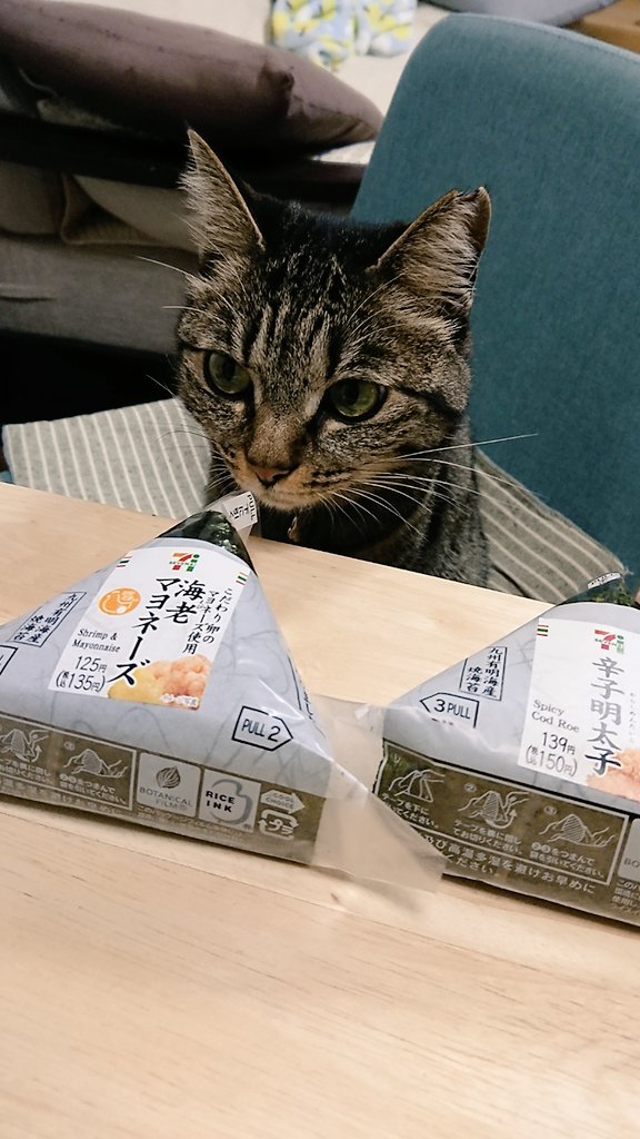 欲しいわけではないけど人間の食べ物を見に来る猫さんのかわいさ「これは検品といってだなぁ…」 Togetter 欲しいわけではないけど人間の食べ物を見に来る猫さんのかわいさ「これは検品といってだなぁ…」 Togetter