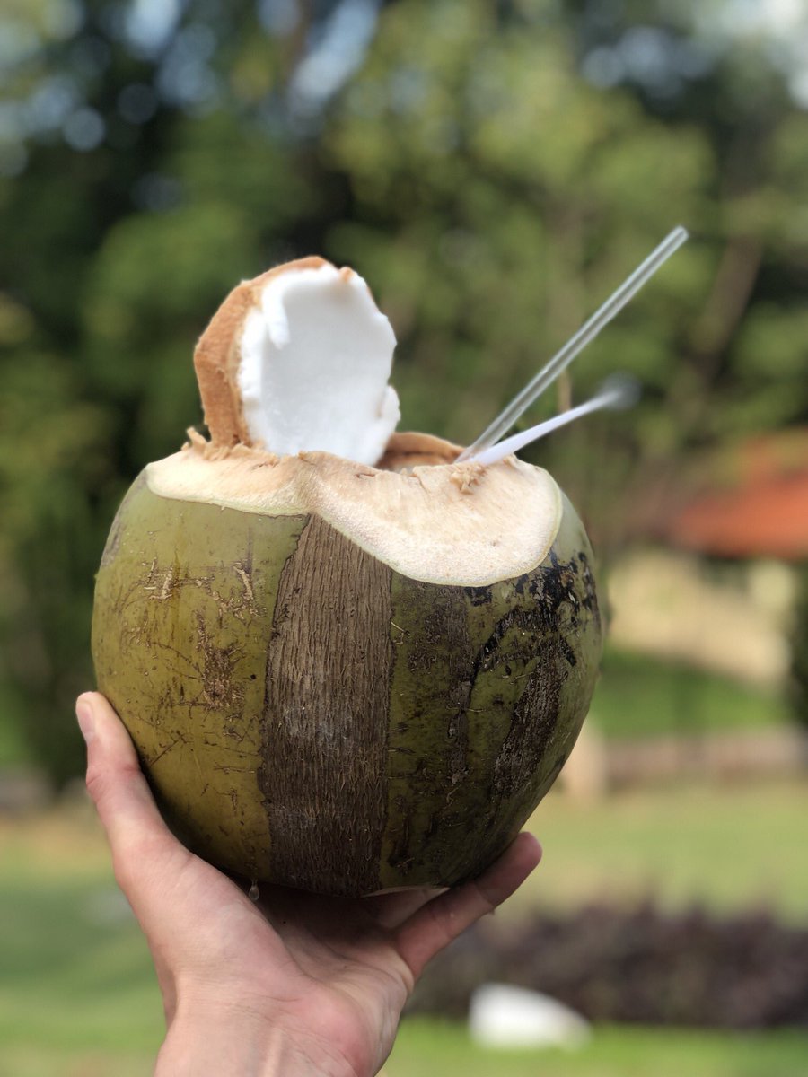 Fuck with it 🥥 🇸🇬 #Singapore