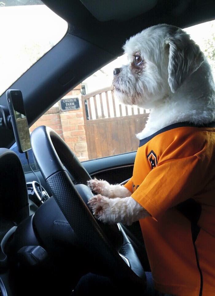 Parsley Meek tweet media