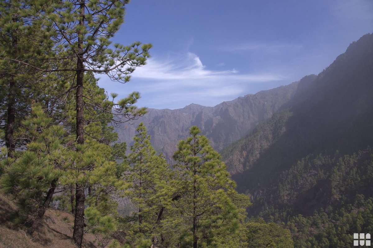 ThomasDippe's tweet photo. ☎️☎️0331/747630 von Mo-So von 08-22 Uhr☎️☎️
Ein Geheimtipp unter den Kanaren: La Palma! Überzeugen Sie sich selbst!
Auch hier buchbar:
https://t.co/YPEozkgbF6
#LaPalma #Spanien #Spain Kanaren #Strand #Beach #Urlaub #vacation #Reise #Reisen #travel #Reisebüro #derDippe https://t.co/wX1fngotO8