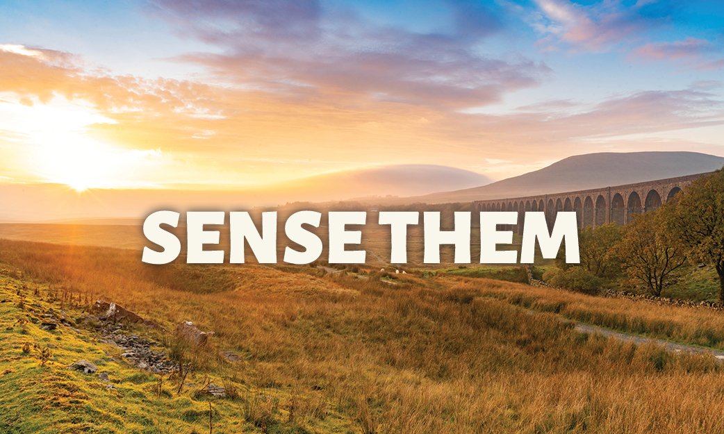 #DiscoverNationalParks Fortnight starts today: 6 - 21 April! 🙌

UK National Parks are holding 70+ activities providing diverse opportunities to get outside and discover what they have to offer.

For all events and activities in the Yorkshire Dales go to blog.yorkshiredales.org.uk/events