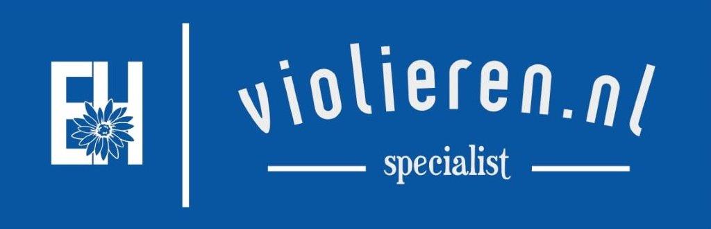 Coming soon Violieren.nl  now under construction #Violieren #Matthiola #365dagenbloemen