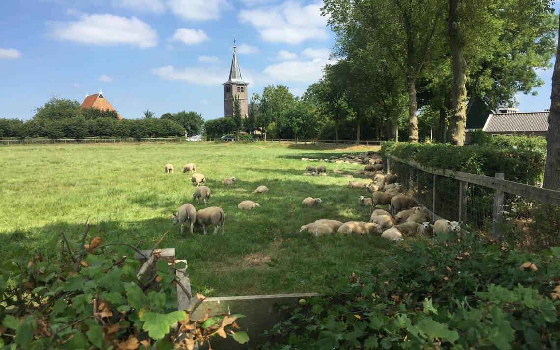 leeuwarden's tweet photo. Waadhoeke stelt vijf dorpen voor de keus: bij gemeente blijven of naar Leeuwarden overstappen: Blijven Boksum, Blessum, Deinum, Ritsumasyl en Marsum bij de gemeente Waadhoeke of gaan ze naar Leeuwarden? De inwoners worden bij deze beslissing betrokken. https://t.co/Dd6Ix3F4QP https://t.co/DygX2XLwsH
