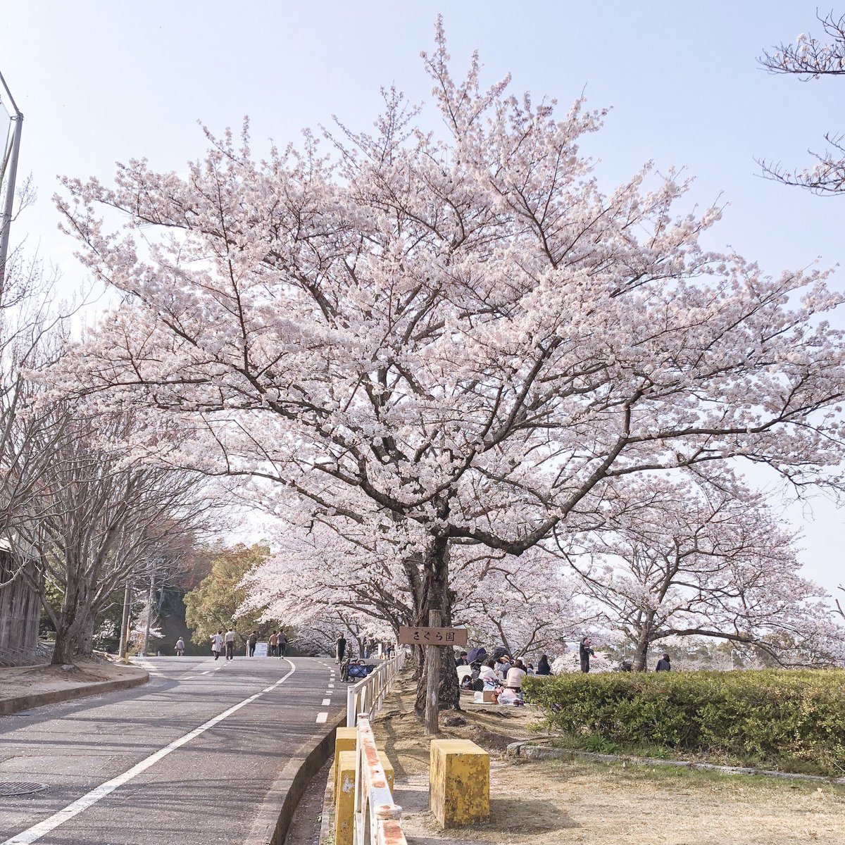 heavenlystro's tweet photo. 𝐖𝐞𝐧𝐭 𝐨𝐮𝐭 𝐟𝐨𝐫 𝐚 𝐰𝐚𝐥𝐤 𝐰𝐢𝐭𝐡 𝐁𝐨𝐧𝐠〜 ♡ 

#花咲ケミライ🌸 https://t.co/KlOTnJVqvw