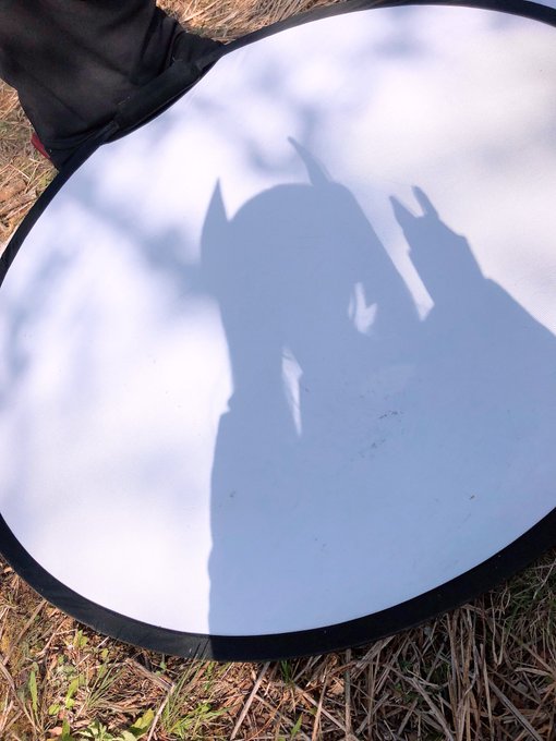 Twitterのコスプレ画像30