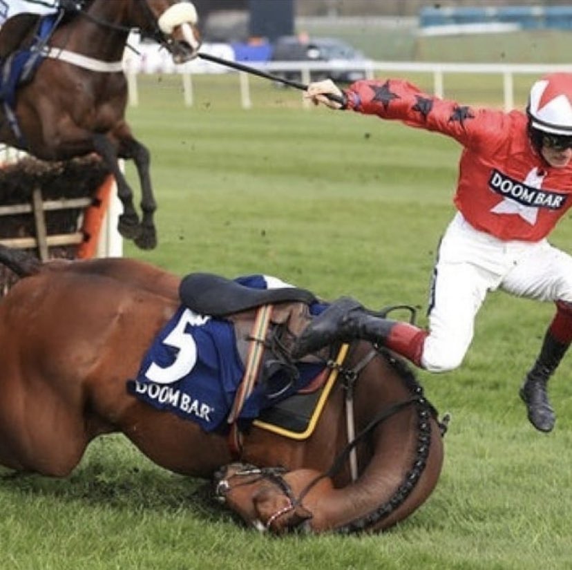 Jampa9's tweet photo. TODAY’S THE DAY

To not bet on horse racing. It’s a cruel sport that kills animals purely for our entertainment. Are you against bull fighting? What’s the difference? People pay to watch and bet on a sport including animals and humans, where the animals die.

#GrandNational2019 https://t.co/fBDLmfaGez